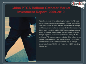 China PTCA Balloon Catheter Market Investment Report, 2009-2010