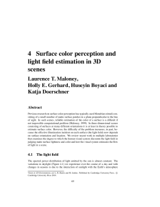 4 Surface color perception and light field estimation in 3D scenes