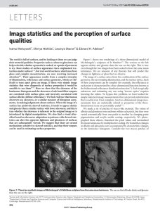 LETTERS Image statistics and the perception of surface qualities Isamu Motoyoshi