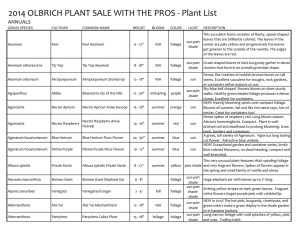 2014 OLBRICH PLANT SALE WITH THE PROS - Plant List ANNUALS