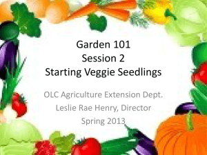 Garden 101 Session 2 Starting Veggie Seedlings OLC Agriculture Extension Dept.