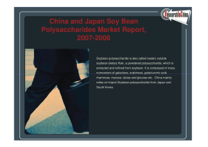 China and Japan Soy Bean Polysaccharides Market Report, 2007-2008