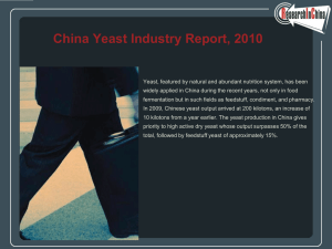 China Yeast Industry Report, 2010