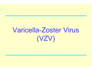 Varicella-Zoster Virus (VZV)