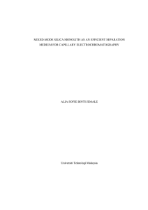 i MIXED-MODE SILICA MONOLITH AS AN EFFICIENT SEPARATION MEDIUM FOR CAPILLARY ELECTROCHROMATOGRAPHY