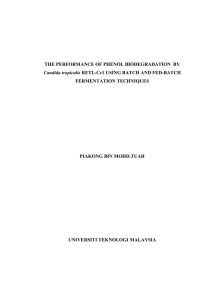 THE PERFORMANCE OF PHENOL BIODEGRADATION  BY FERMENTATION TECHNIQUES PIAKONG BIN MOHD.TUAH