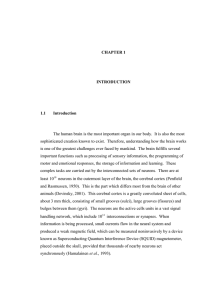 The human brain is the most important organ in our... sophisticated creation known to exist.  Therefore, understanding how the... CHAPTER 1