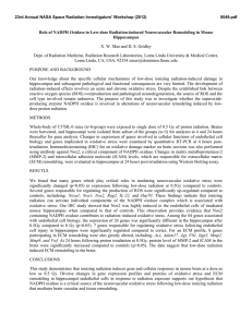 Role of NADPH Oxidase in Low-dose Radiation-induced Neurovascular Remodeling in... Hippocampus X. W. Mao and D. S. Gridley