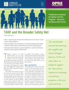 Tanf and the broader Safety net 04 The considerable