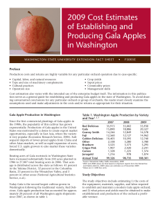 2009 Cost Estimates of Establishing and Producing Gala Apples in Washington