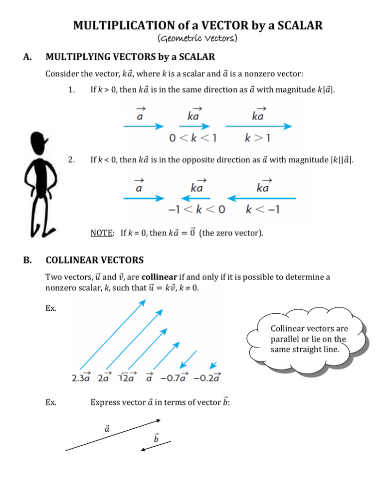  MULTIPLICATION Of A VECTOR By A SCALAR Geometric Vectors 