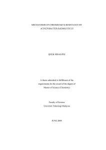 i  A thesis submitted in fulfillment of the