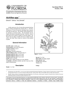 Achillea spp. Introduction October, 1999 Fact Sheet FPS-11