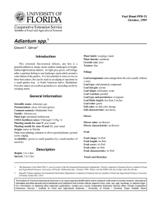 Adiantum spp. Introduction October, 1999 Fact Sheet FPS-13