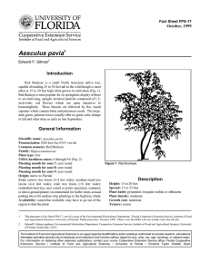 Aesculus pavia Introduction October, 1999 Fact Sheet FPS-17