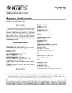 Ageratum houstonianum Introduction October, 1999 Fact Sheet FPS-23