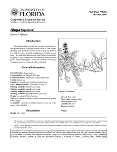 Ajuga reptans Introduction October, 1999 Fact Sheet FPS-26