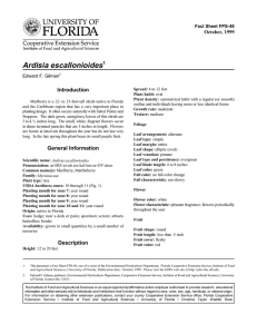 Ardisia escallonioides Introduction October, 1999 Fact Sheet FPS-48