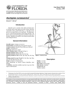 Asclepias curassavica Introduction October, 1999 Fact Sheet FPS-49