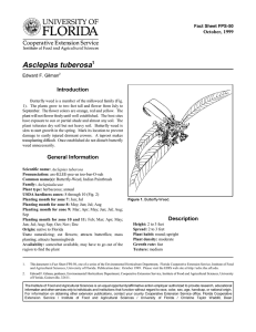 Asclepias tuberosa Introduction October, 1999 Fact Sheet FPS-50