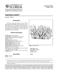 Aspidistra elatior Introduction October, 1999 Fact Sheet FPS-53