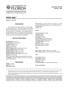 Aster spp. Introduction October, 1999 Fact Sheet FPS-56