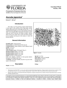 Aucuba japonica Introduction October, 1999 Fact Sheet FPS-57