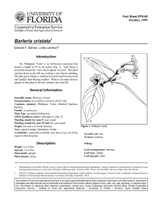 Barleria cristata Introduction October, 1999 Fact Sheet FPS-60