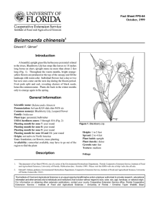 Belamcanda chinensis Introduction October, 1999 Fact Sheet FPS-64