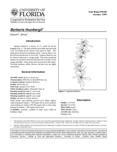 Berberis thunbergii Introduction October, 1999 Fact Sheet FPS-66