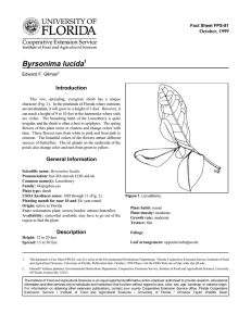Byrsonima lucida Introduction October, 1999 Fact Sheet FPS-81