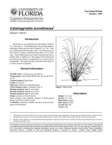 Calamagrostis arundinacea Introduction October, 1999 Fact Sheet FPS-85
