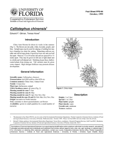 Callistephus chinensis Introduction October, 1999 Fact Sheet FPS-94