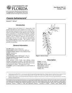 Cassia bahamensis Introduction October, 1999 Fact Sheet FPS-111