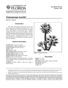 Chamaerops humilis Introduction October, 1999 Fact Sheet FPS-123