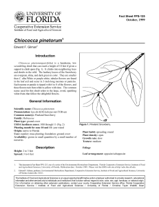 Chiococca pinetorum Introduction October, 1999 Fact Sheet FPS-125