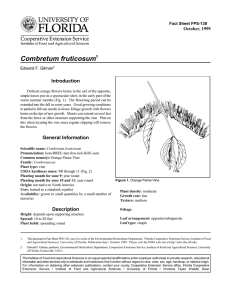 Combretum fruticosum Introduction October, 1999 Fact Sheet FPS-138