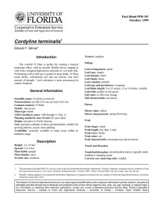 Cordyline terminalis Introduction October, 1999 Fact Sheet FPS-141