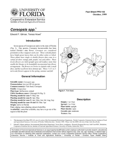Coreopsis spp. Introduction October, 1999 Fact Sheet FPS-143