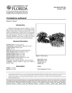 Cortaderia selloana Introduction October, 1999 Fact Sheet FPS-145