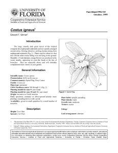 Costus igneus Introduction October, 1999 Fact Sheet FPS-151