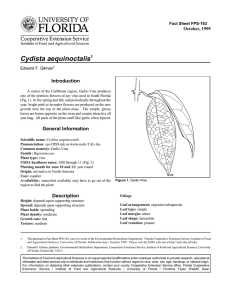 Cydista aequinoctalis Introduction October, 1999 Fact Sheet FPS-163