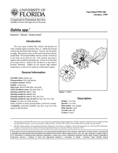 Dahlia spp. Introduction October, 1999 Fact Sheet FPS-169