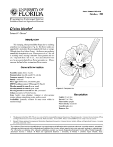 Dietes bicolor Introduction October, 1999 Fact Sheet FPS-178