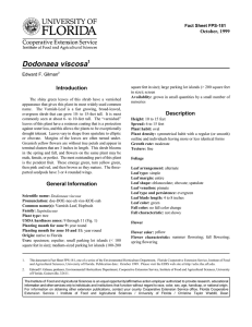 Dodonaea viscosa Introduction October, 1999 Fact Sheet FPS-181