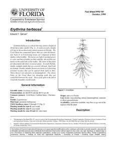 Erythrina herbacea Introduction October, 1999 Fact Sheet FPS-197