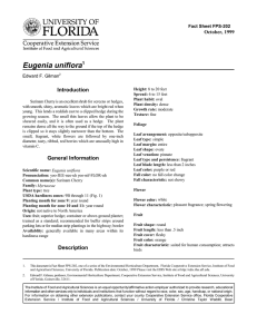 Eugenia uniflora Introduction October, 1999 Fact Sheet FPS-202