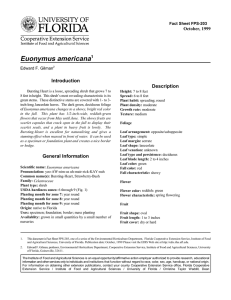 Euonymus americana Introduction Description October, 1999