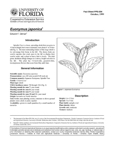Euonymus japonica Introduction October, 1999 Fact Sheet FPS-204