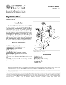 Euphorbia milii Introduction October, 1999 Fact Sheet FPS-205